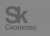 logo_of_the_skolkovo_foun